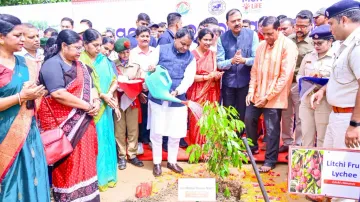 Odisha’s green vision; Rs 5,000 crore income and 10 lakh eco-based employments