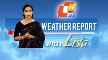 LISA AI Anchor