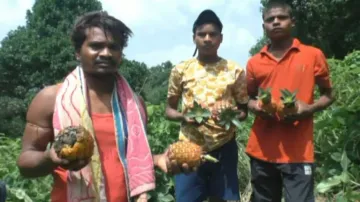 Rayagada Farmers 