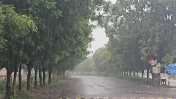 Heavy rain likely in Odisha till July 19; yellow alert issued for five northern and western district