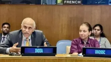 India calls for time-bound UNSC reforms, backs 'Pact for the Future' agreement