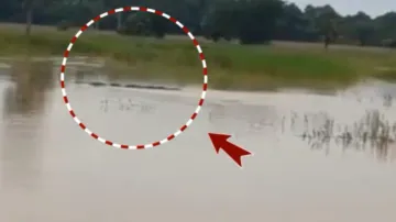 Crocodile fear grips Kendrapara residents amidst flood havoc 