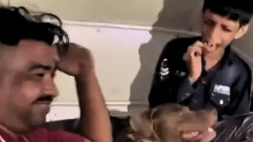 Viral Video
