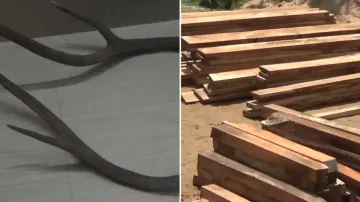Deer antlers and timber worth Rs 23 lakh seized after joint raid on sawmill in Mayurbhanj