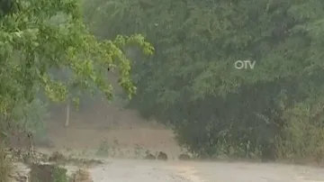 Odisha to experience more rain