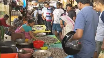 Bird flu scare slashes chicken sales in Bhubaneswar, fish demand soars