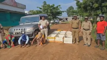 Over 1000 turtles rescued in Odisha’s Malkangiri, 3 held
