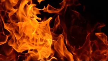Odisha: Crime Branch IG, heading probe into self-immolation of college student, goes on leave