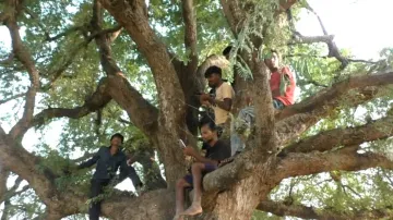 While world races toward space, over 1,900 villages in Odisha still eluded of mobile network connect