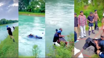 Heroic rescue! Animal lovers leap into raging stream to save cow, watch