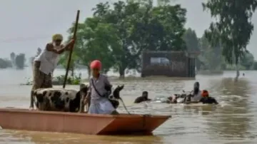 Punjab Flood 