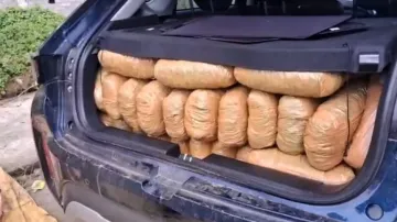 ‘Operation Prahar’: Binka Police recovers major haul of Ganja