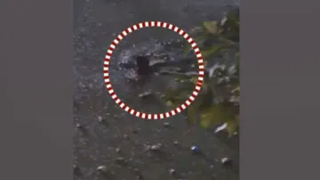Thief jumps into pond to escape police in Puri, caught