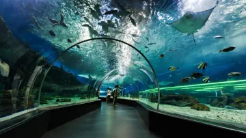 Puri to get state-of-the-art marine aquarium and underwater zoo, Odisha govt invites EOI