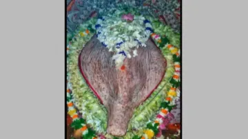 Goddess Samaleswari adorns Dhabalamukhi Besha on Mahalaya, devotees throng shrine