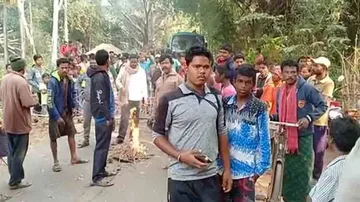 Elephants enter human settlements, damage houses in Odisha