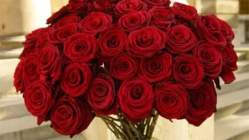 Rose Day: Singles Flood Internet With Memes As Valentines Week Kick Off