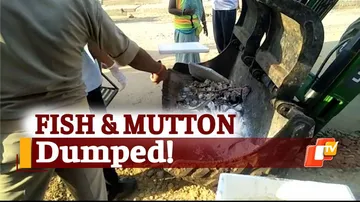 Rourkela Admin Seizes 60 Kg Fish, 40 Kg Mutton Being Sold Illegally
