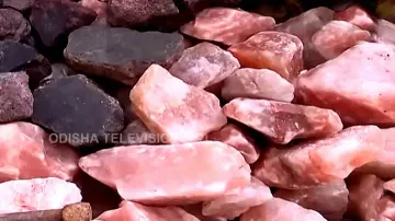 ‘Pakistan Ka Namak’ hits markets in Odisha’s Bhubaneswar