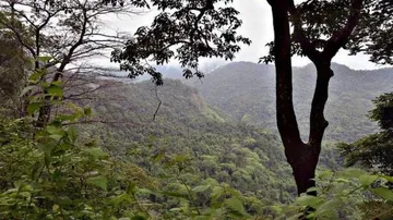 Industrial activities banned in Karnataka sanctuary