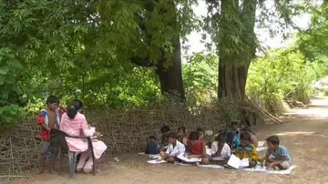 Sans building, school kids study under trees in Mayurbhanj