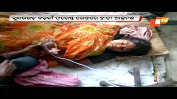 Baby trampled to death, mother injured by elephant