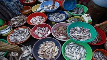 India's seafood exports cross $7 bn