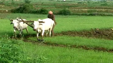 Inter-ministerial meeting today to discuss pro-sharecropper draft bill