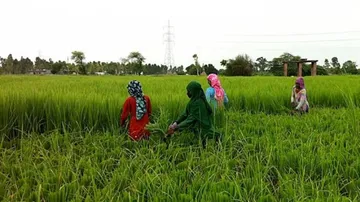 New law for sharecroppers: Five-member committee formed!