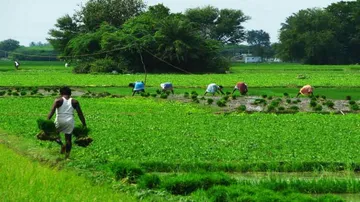 Inter-ministerial meeting on land leasing bill today