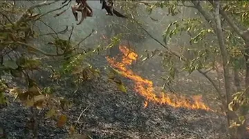 Surge in wildfire incidents across Odisha; 2,586 fire points detected in 7 days