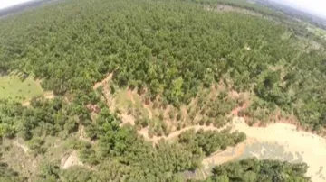 Drone cameras at Similipal soon