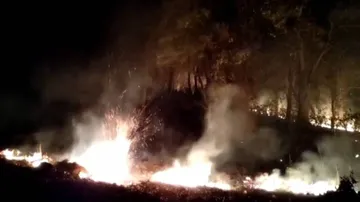 Similipal Forest Fire: 9 Points Still In Grip Of Flames, Claims Task Force