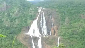 Simlipal wildlife sanctuary to reopen tomorrow