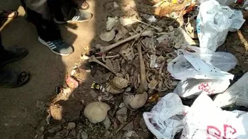 Human Skeleton Recovered From IRC Village In Bhubaneswar