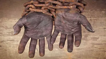 5,616 Indians turned slaves every day over 2 years