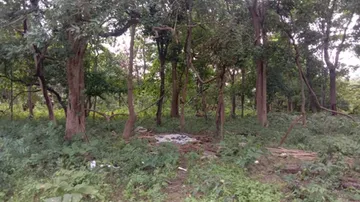 Odisha: Man 'Killed, Burnt' Over Witchcraft In Malkangiri