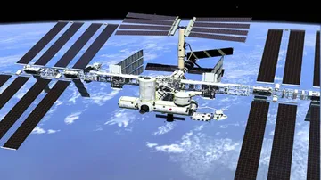 After lettuce, astronauts could grow beans in space in 2021