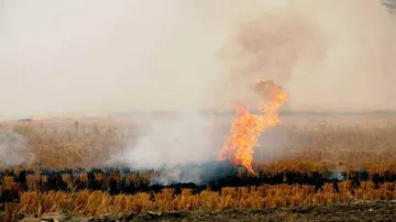 Punjab draws up plan to curb stubble burning