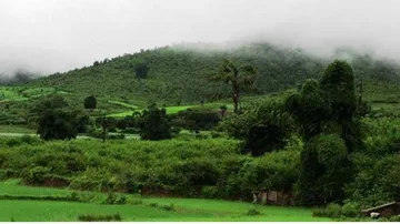 Odisha registers slight rise in temperature