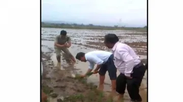 Leading The Way: Odisha Collector Gets His Hands Dirty In Paddy Field
