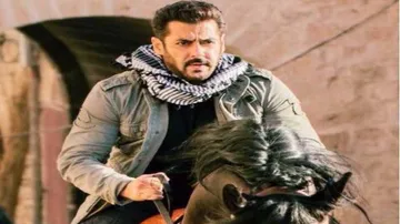 'Tiger Zinda Hai' rakes in Rs 34 cr on opening day