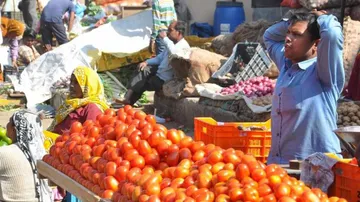 As tomatoes hit Rs 100/kg, Chandigarh app offers it at Re 1