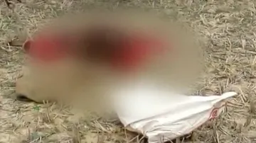 Unidentified torso found in Polsara
