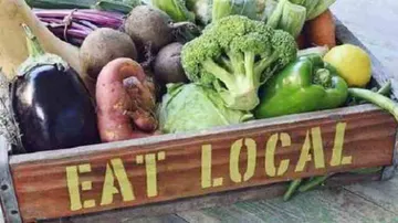 Mumbaikars to walk for 'toxicity-free, good food'