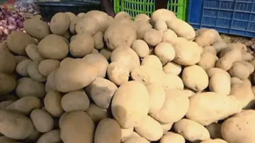 Potato prices rise again! Why Odisha is so vulnerable