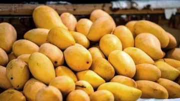 Dhenkanal mango’s global foray: 15-year export agreement inked