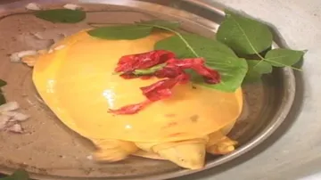 Forest personnel retrieve rare albino turtle from villagers