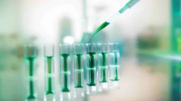 Experimental vaccine shows potential against Zika virus