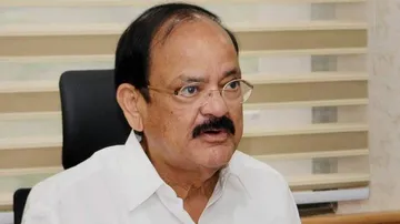 Have to take temporary pain for long-term gain: VP on economy